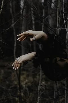Whispers of the Forest Foto stock