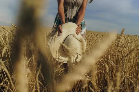 Whispers of the Golden Fields Foto stock