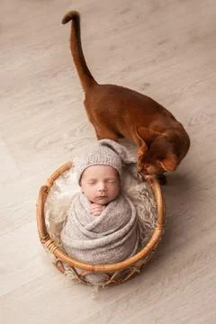 Whispers of Innocence Stock-Fotos
