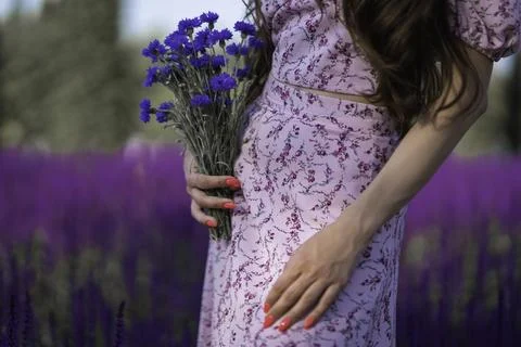 Whispers of Lavender Foto stock