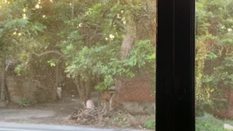 Whispers of light and shadow Stock Footage 258898375