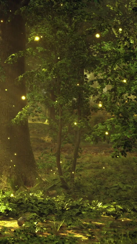 Whispers of magic in the enchanted forest at twilight time Stock Footage 342460485