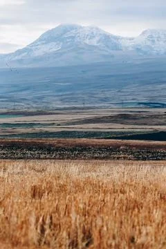 Whispers of the Mountain Foto stock