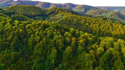 Whispers of Nature Stock Footage 306031078