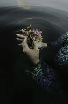 Whispers of Nature Stock Photos