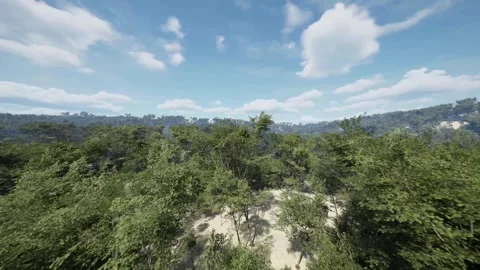 Whispers of nature. Tranquil forest scenes for peaceful reflection. Stock Footage 270043347