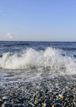 Whispers of the Ocean Stock Photos