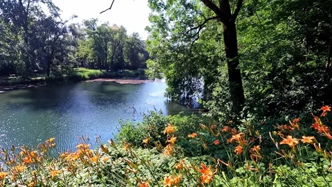 Whispers Over the Alpine Lake Vidéo 337856266