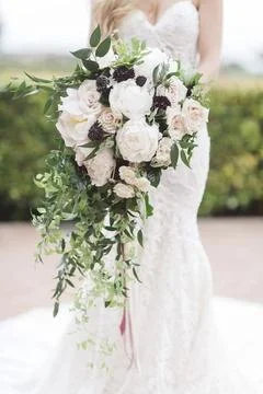 Whispers of Romance Foto stock