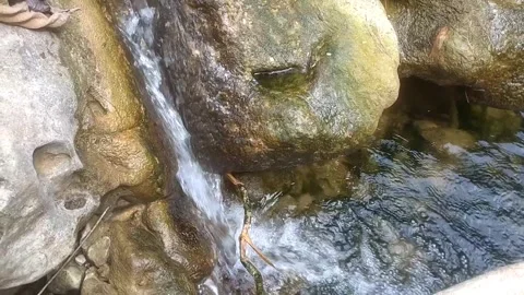 Whispers of the Serene Stream 库存影片 335061409