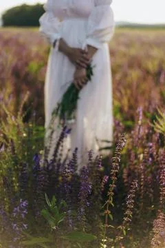 Whispers of Serenity Stock Photos