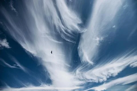 Whispers of the Sky Foto stock