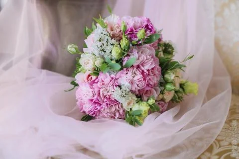 Whispers of Spring Stock Photos