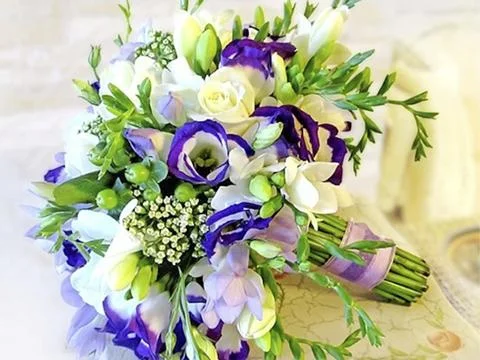 Whispers of Spring Stock Photos