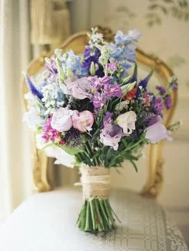 Whispers of Spring Stock Photos