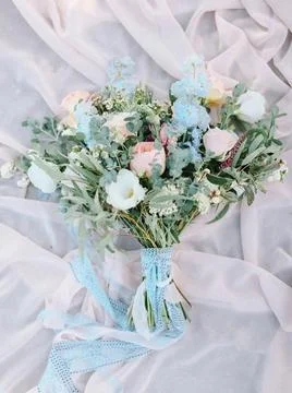 Whispers of Spring Stock-Fotos