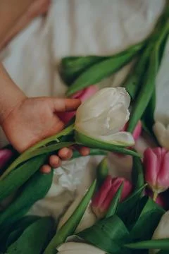 Whispers of Spring Фото