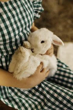 Whispers of Spring Фото