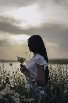 Whispers of Spring Stock Photos