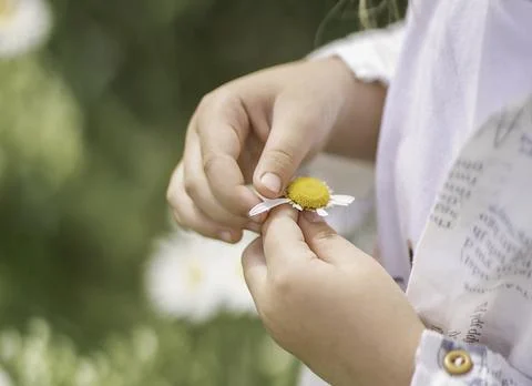 Whispers of Spring Stock Photos