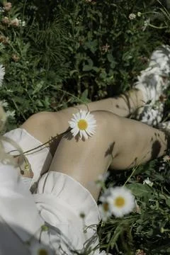 Whispers of Spring Foto stock