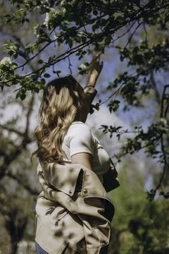 Whispers of Spring Stock Photos