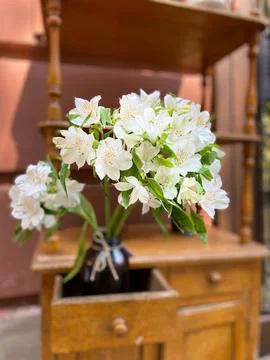 Whispers of Spring Stock Photos