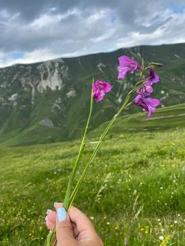 Whispers of Spring Фото