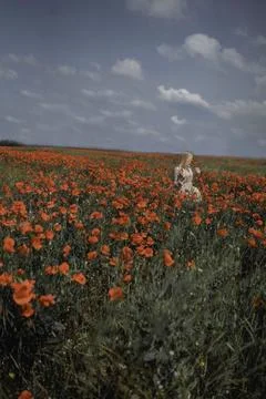 Whispers of Spring Foto stock