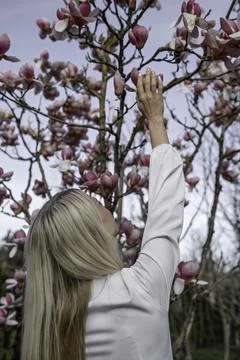 Whispers of Spring Фото
