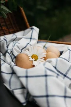 Whispers of Spring Foto stock