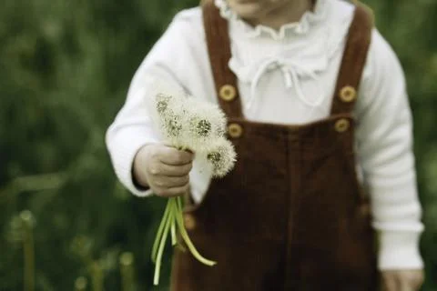 Whispers of Spring Stock Photos