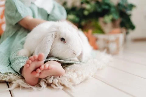 Whispers of Spring Stock-Fotos