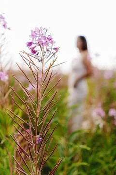 Whispers of Spring Foto stock