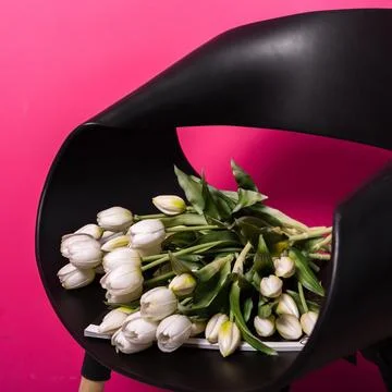 Whispers of Spring Foto stock