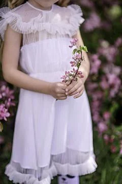 Whispers of Spring Stock Photos