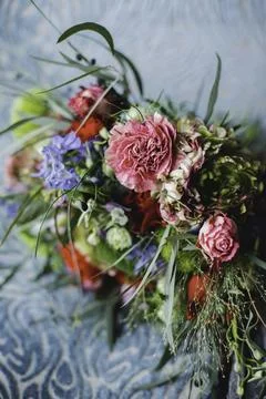 Whispers of Spring 스톡 사진