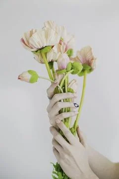 Whispers of Spring Stock Photos