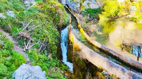 Whispers of the Stream 库存影片 318268136