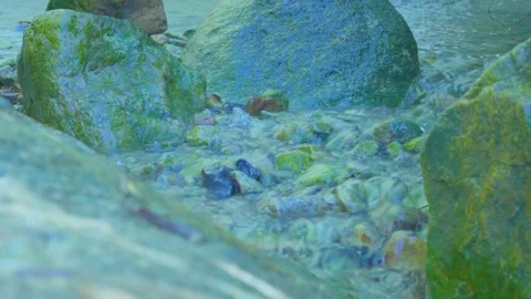 Whispers of the Stream: Water Cascading Over Mossy Rocks Stock Footage 282070440