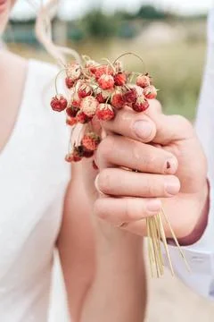 Whispers of Summer Foto stock