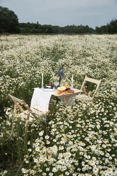 Whispers of Summer Stock Photos