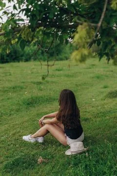 Whispers of Summer Stock Photos