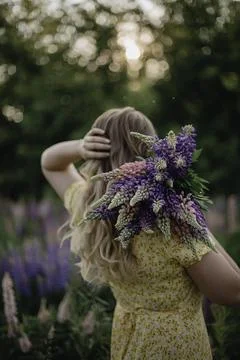 Whispers of Summer Stock Photos