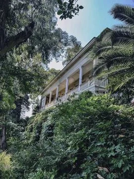 Whispers of Time Stock Photos