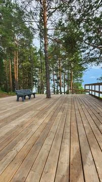 Whispers of Tranquility 스톡 사진