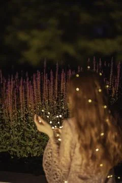 Whispers of Twilight Foto stock