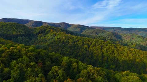 Whispers of the Valley Stock Footage 306032199