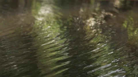 Whispers of Water Stock Footage 315404652