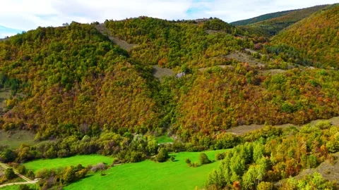 Whispers of the Wild Stock Footage 306563030